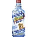 Dental Fresh