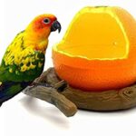 ACCESORIO AVES PLATO 2 UNIDADES GRANDE
