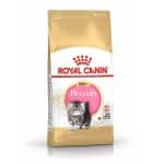 CONCENTRADO PARA GATO ROYAL CANIN PERSIAN KITTEN