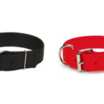 COLLAR PARA PERRO MACHO  1 3/4 COLORES VARIOS