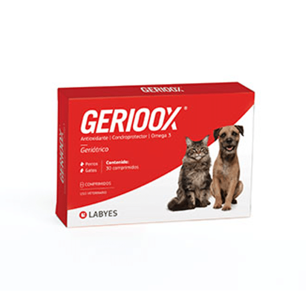 GERIOOX