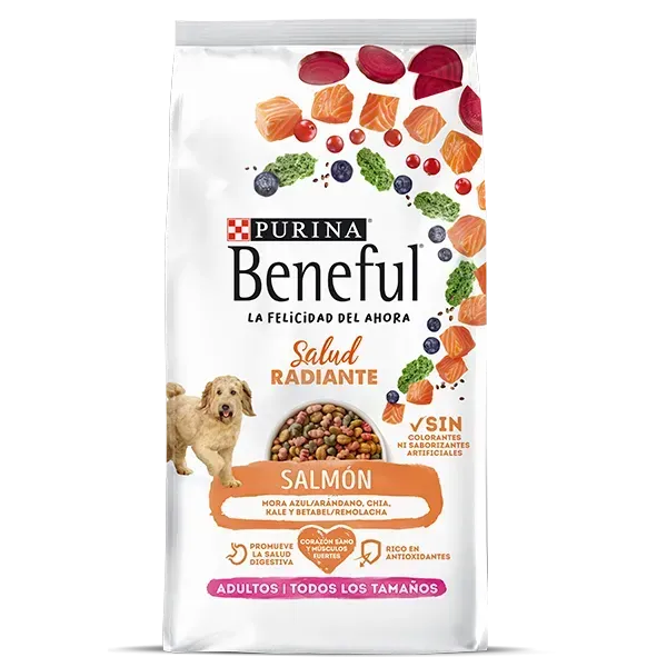 ALIMENTO PARA PERRO BENEFUL RADIANTE SALMÓN