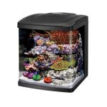 ACUARIO CORAL BIOCUBE LED 32G