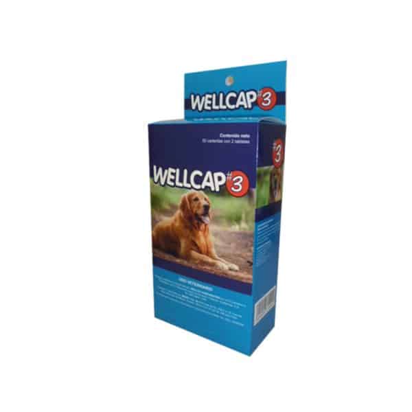 WELLCAP 100 TABLETAS