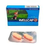 DESPARASITANTE-PARA-PERROS-Y-GATOS-WELLCAP-2-100-TABLETAS