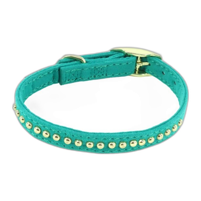 EGM016270TEL COLLAR Y TIRAPERRO LI´L PALS MINI 3/8"– AQUA CON DORADO - Image 1