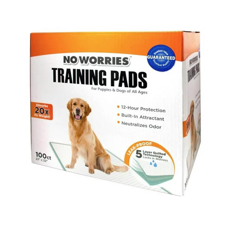 EGM097321 TRAINING PADS NO WORRIES - 100 U - Image 1