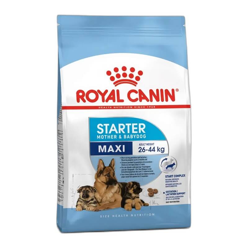 IV0000016 ROYAL CANIN MAXI STARTER - Image 1