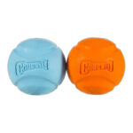 CHUCKIT! FETCH BALL 1 PACK