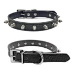 ASPEN PET CLR 12 X 3/8 SPIKED LEATHER BLACK