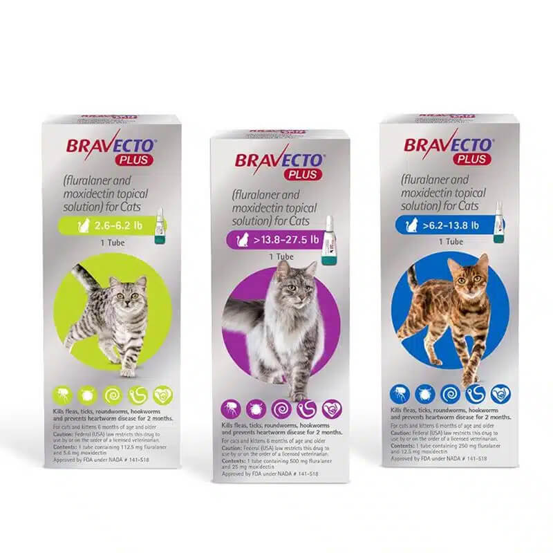 BV0000004 BRAVECTO PLUS CAT - Image 1