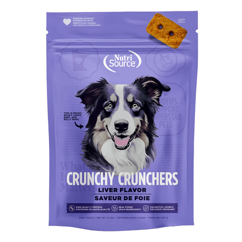 DT1BDD008 NUTRISOURCE BISCUIT LIVER - Image 1