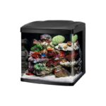 ACUARIO CORAL BIO CUBE LED MARINOS – 16 GALONES