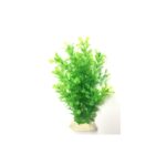 PLANTAS PARA PECERAS