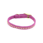 COLLAR Y TIRAPERRO LI´L PALS MINI 3/8"– FUCSIA CON DORADO
