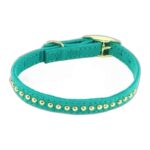 COLLAR Y TIRAPERRO LI´L PALS MINI 3/8"– AQUA CON DORADO