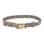 COLLAR Y TIRAPERRO ACCENT 5/8" – AZUL CON DORADO