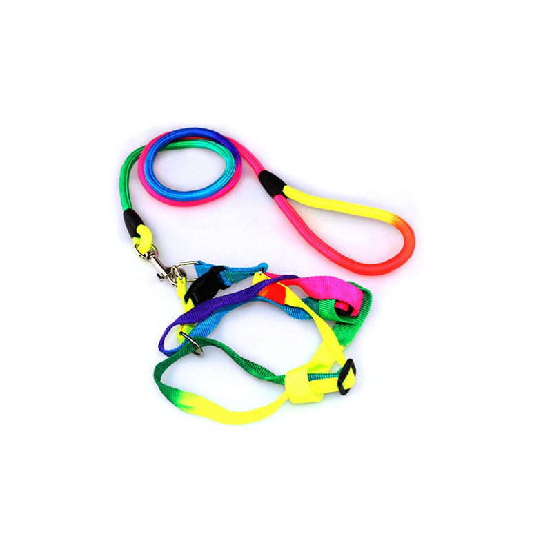 EGM12640 COMBO ARNES Y TIRAPERRO ROPE ARCOIRIS BONGO - Image 1