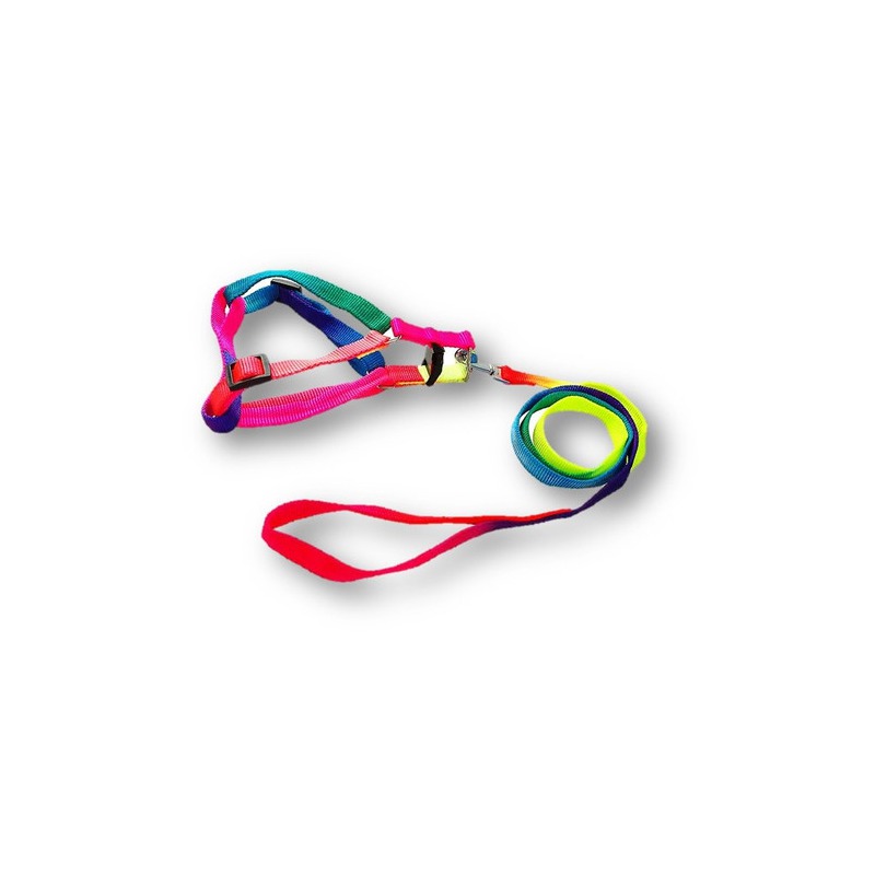 EGM12664 COMBO ARNES Y TIRAPERRO ARCOIRIS BONGO - Image 1