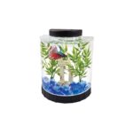KIT TETRA BETTA LED HAL MOON