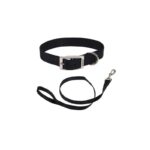 COLLAR DE HEBILLA Y TIRAPERROS DE NYLON – NEGRO