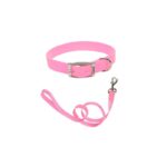 COLLAR DE HEBILLA Y TIRAPERROS DE NYLON – ROSADO