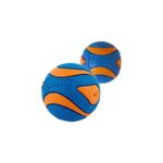 CHUCKIT! ULTRA SQUEAKER BALL