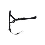 HEAD HALTER COASTAL - BOZAL COASTAL EDUCATIVO PARA CAMINAR Y ENTRENAR