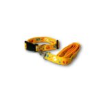 COMBO COLLAR Y TIRAPERRO CON DISEÑO BONGO