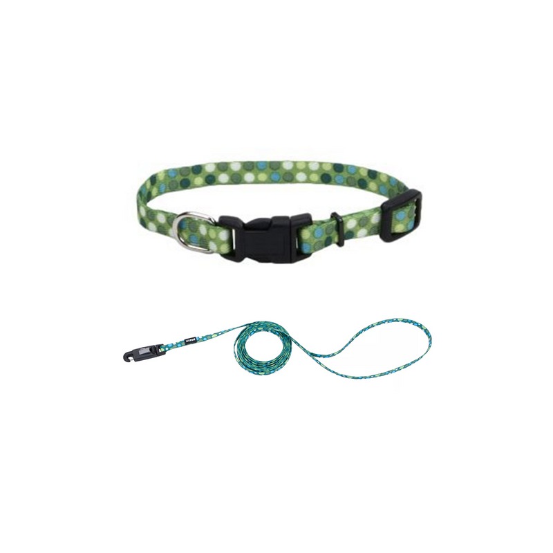 EGM16221GND COLLAR Y TIRAPERRO Li´L PALS 3/8" – VERDE CON PUNTOS - Image 1