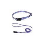 COLLAR Y TIRAPERRO Li´L PALS 3/8" – CELESTE CON HUELLAS