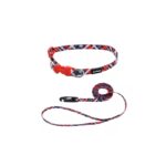 COLLAR Y TIRAPERRO Li´L PALS 3/8" – RALLAS ROJOS CON NEGRO