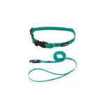 COLLAR Y TIRAPERRO Li´L PALS 3/8" – VERDE CON PUNTO NEGRO