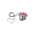 COMBO MESH HARNESS Y JALADOR Li´L PALS