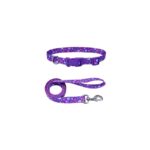 COLLAR Y TIRAPERRO PET ATTIRE – SAFARI
