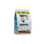 SELECT CACHORROS RAZAS MINI Y PEQUEÑO
