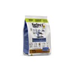 SELECT CACHORROS RAZAS MEDIANAS Y GRANDES