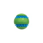 KONG® SQUEEZZ GOOMZ BALL