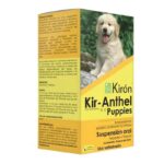 KIR-ANTHEL PUPPIES