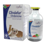 CLINDAFUR INYECTABLE
