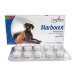 MARBOREN