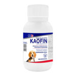 KAOFIN