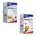 AMOXIN