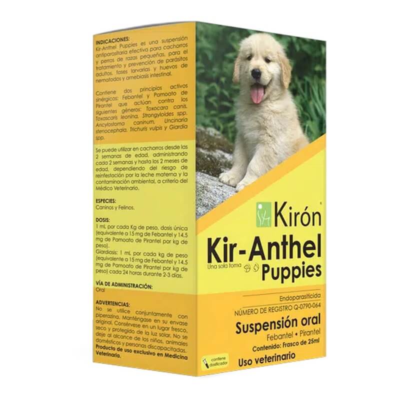 GV1LKM043 KIR-ANTHEL PUPPIES - Image 1