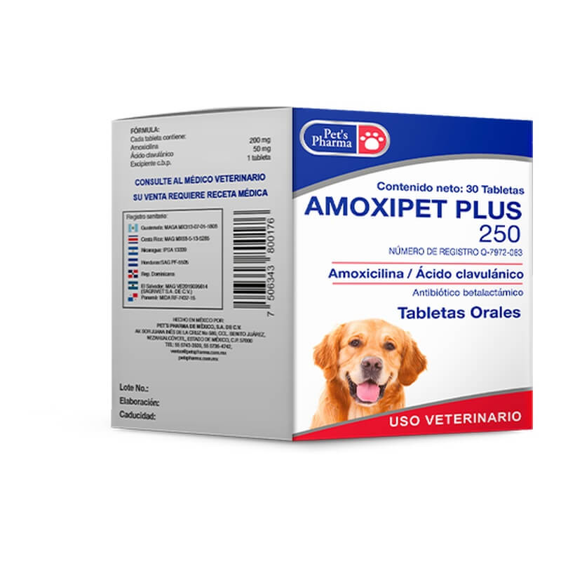 GV1PET174 AMOXIPET PLUS TABS 250 - Image 1