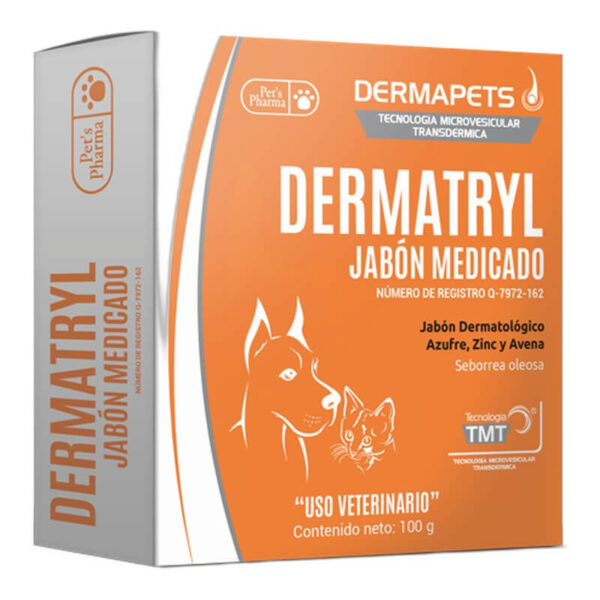 DERMATRYL JABON MEDICADO
