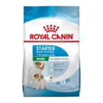 ROYAL CANIN MINI STARTER MOTHER & BABY DOG