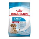 ROYAL CANIN MEDIUM STARTER MOTHER & BABY DOG