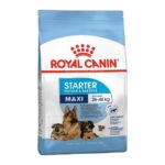 ROYAL CANIN MAXI STARTER