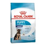 ROYAL CANIN MAXI PUPPY